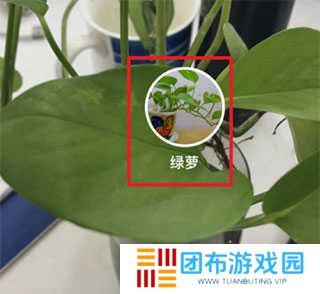 怎么识别图片3