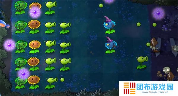 植物大战僵尸魔法森林版
